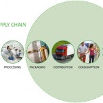 Albóndigas de caballo, 2ª parte: El eterno problema de las cadenas de suministro